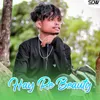 About Hay Re Beauty Song